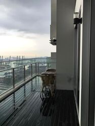 Eon Shenton (D2), Apartment #577913921